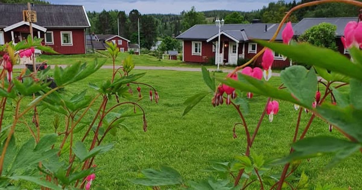 Översikt över stugorna och området vid Romme Stugby